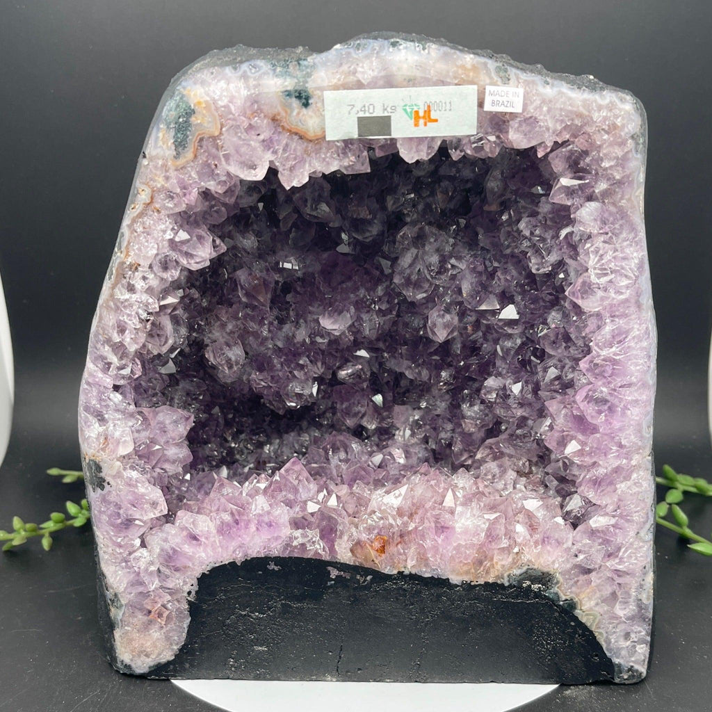 Amethyst Cathedral - 7.400 kg - Natural Collective LLC