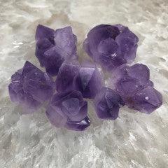 Amethyst Flowers (Two Ounce Bags) - Natural Collective LLC