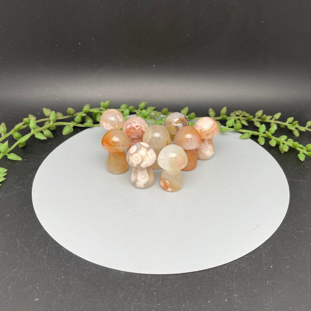 Flower Agate Mushrooms - Natural Collective LLC