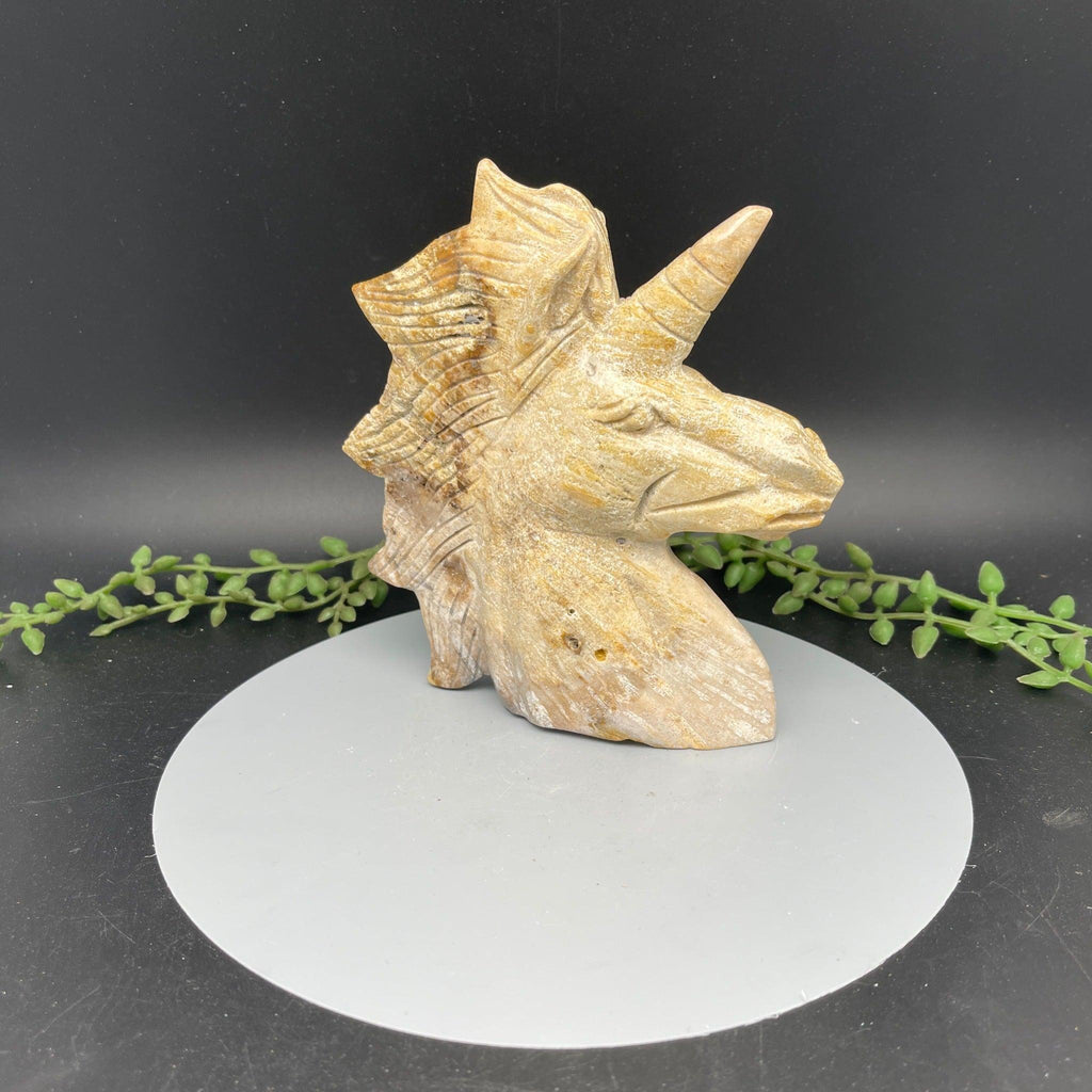 Fossil Corral Unicorn Head - 0.510 kg - Natural Collective LLC