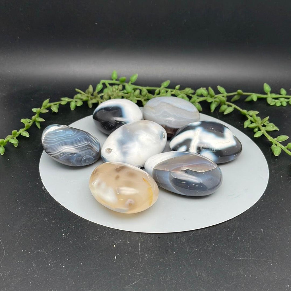 Orca Agate Palms - Natural Collective LLC