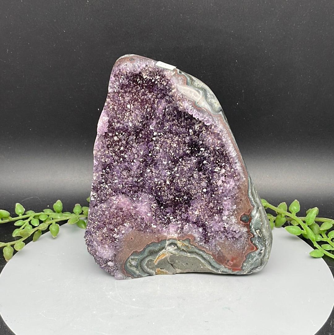 Polished Cut Base Amethyst - 0.970 kg - Natural Collective LLC