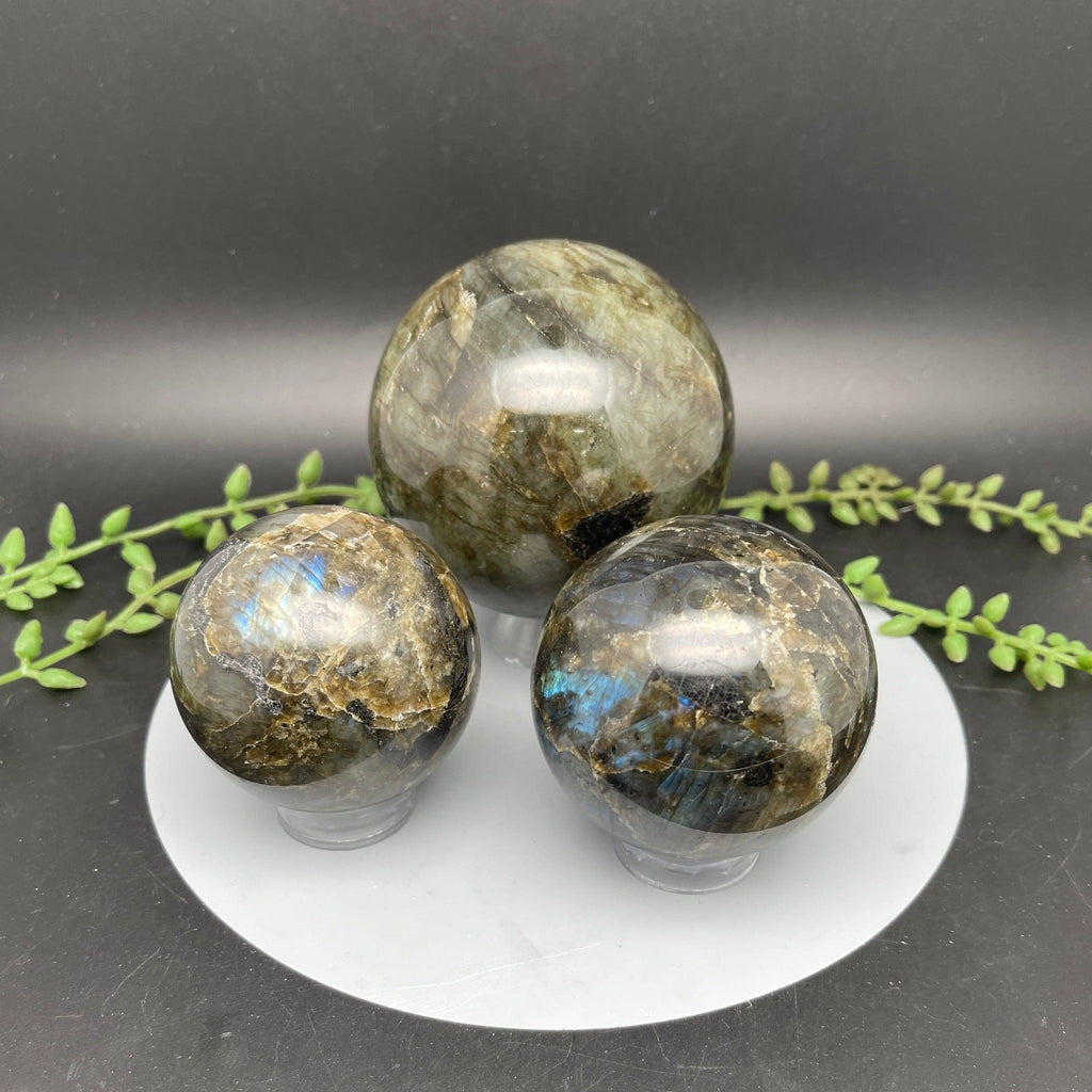 Labradorite Spheres - Natural Collective LLC