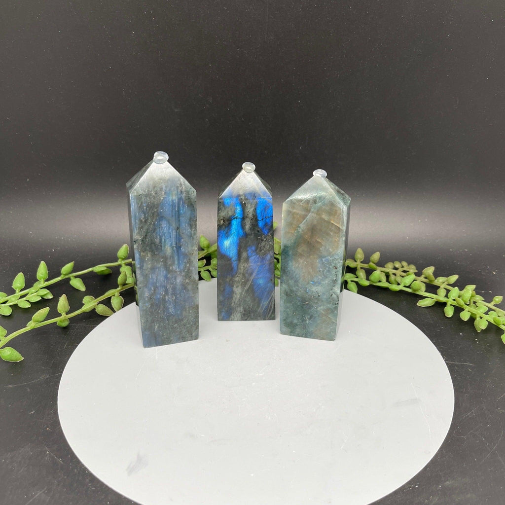 Labradorite Towers - 4 sided - Natural Collective LLC