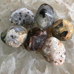 Agate Occo Tumbles - Natural Collective LLC