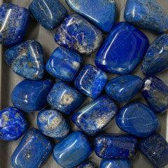 Lapis Lazuli Tumbles - Natural Collective LLC