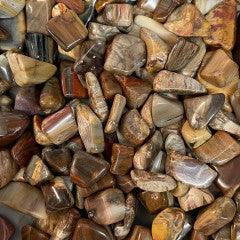 Petrified Wood Tumbles - Natural Collective LLC