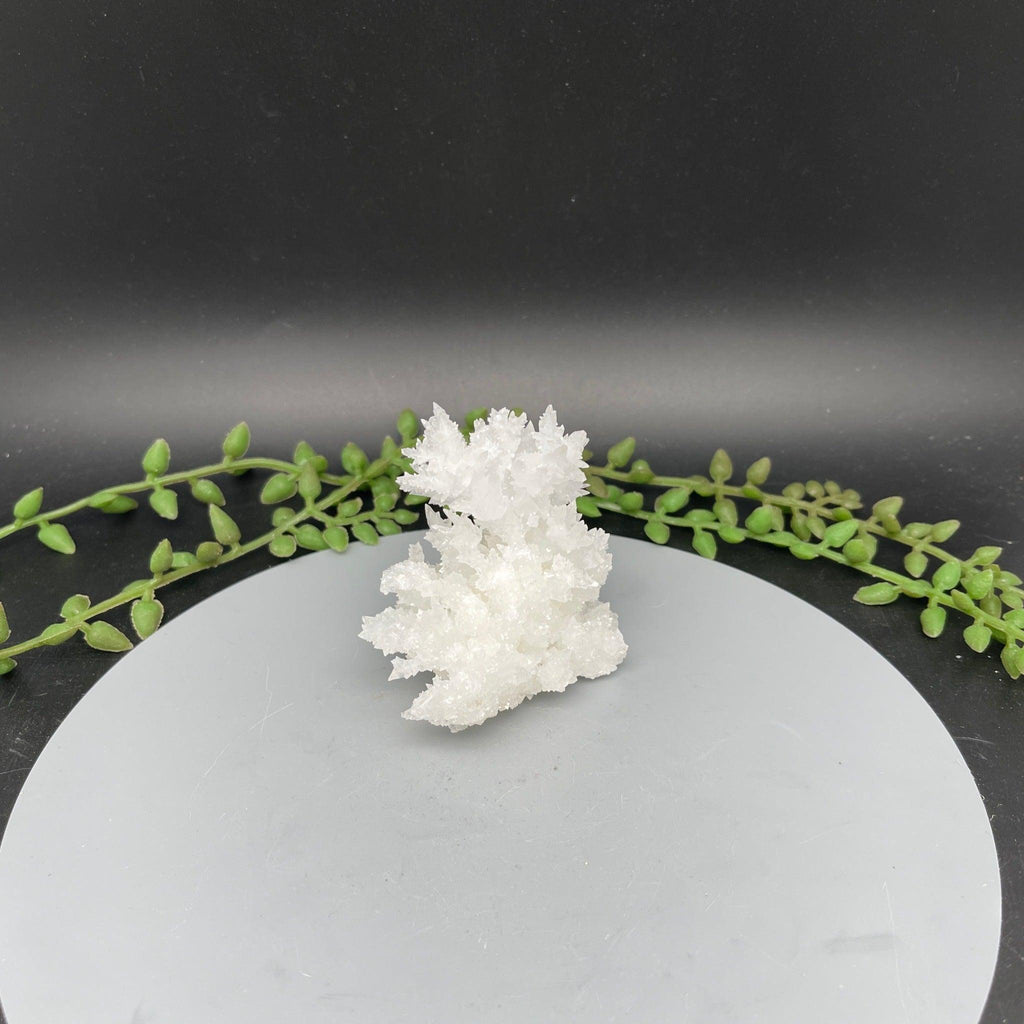White Aragonite Clusters - 0.120 kg - Natural Collective LLC
