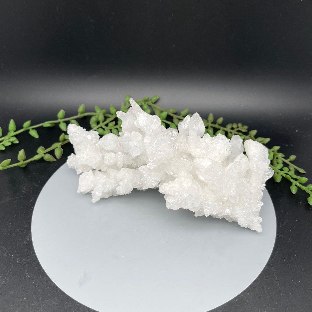 White Aragonite Clusters - 0.525 kg - Natural Collective LLC