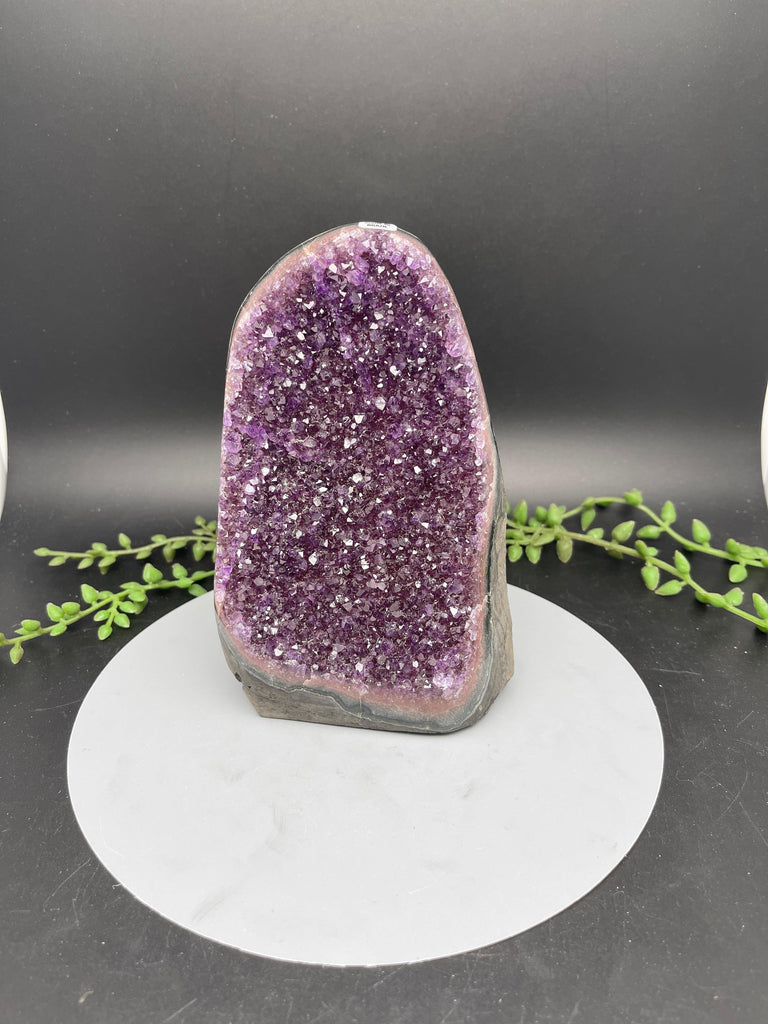 Cut Bases - Natural Collective LLC