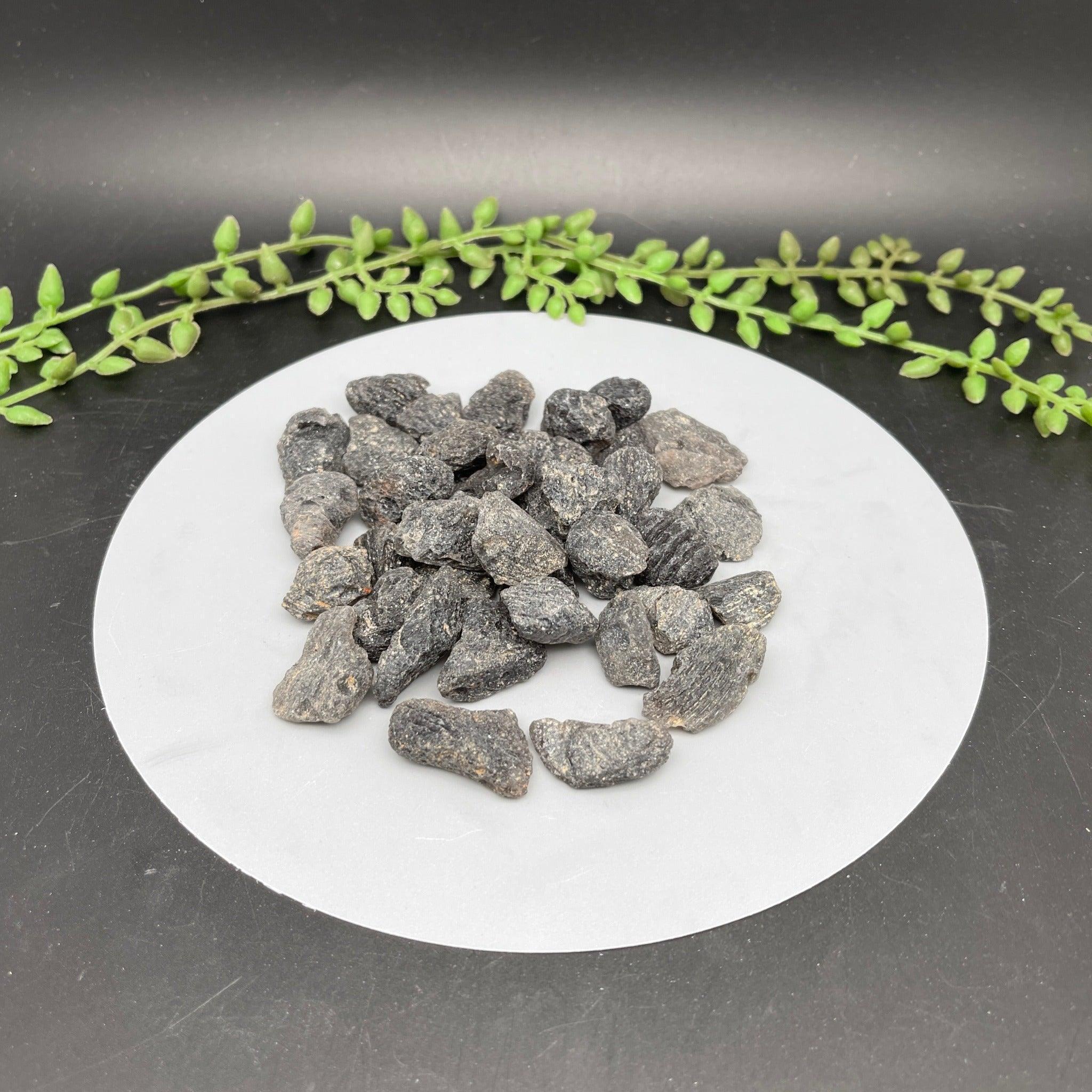 Tektites & Meteorites - Natural Collective LLC