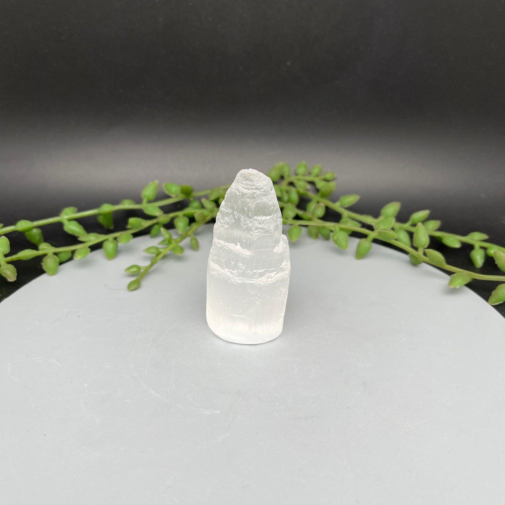 Selenite Skyscrapers - Natural Collective LLC