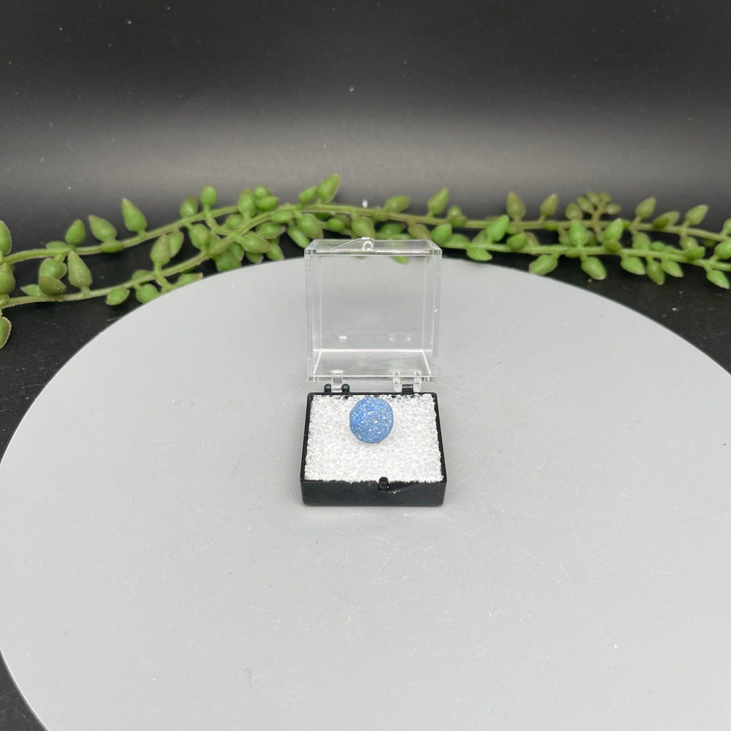 Azurite Blueberries With Case - Natural Collective LLC