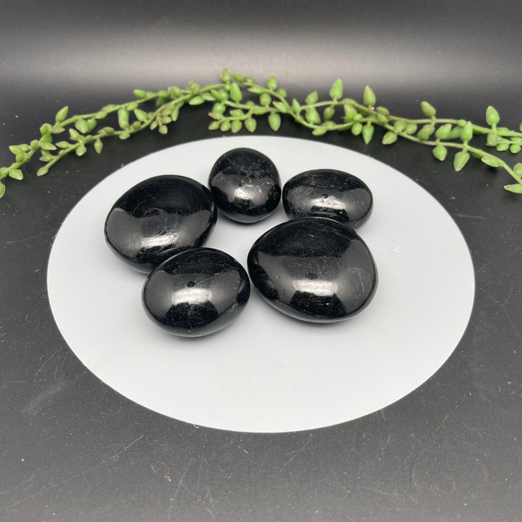 Black Tourmaline Palms - Natural Collective LLC