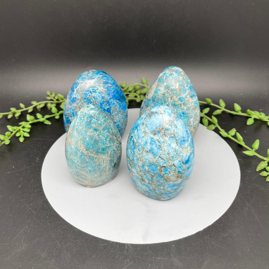 Blue Apatite Freeform - Natural Collective LLC