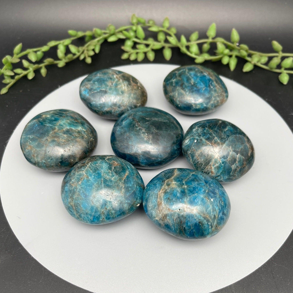 Blue Apatite Palms - Natural Collective LLC