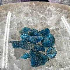 Blue Apatite Roughs - Small - Natural Collective LLC