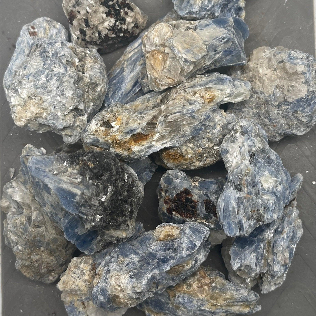 Blue Kyanite Roughs - Natural Collective LLC