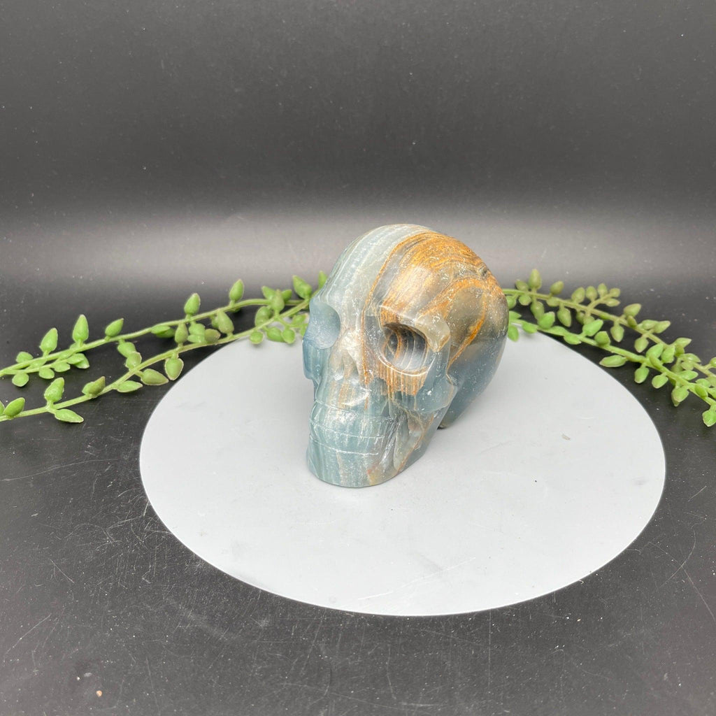 Blue Onyx Skull - Natural Collective LLC