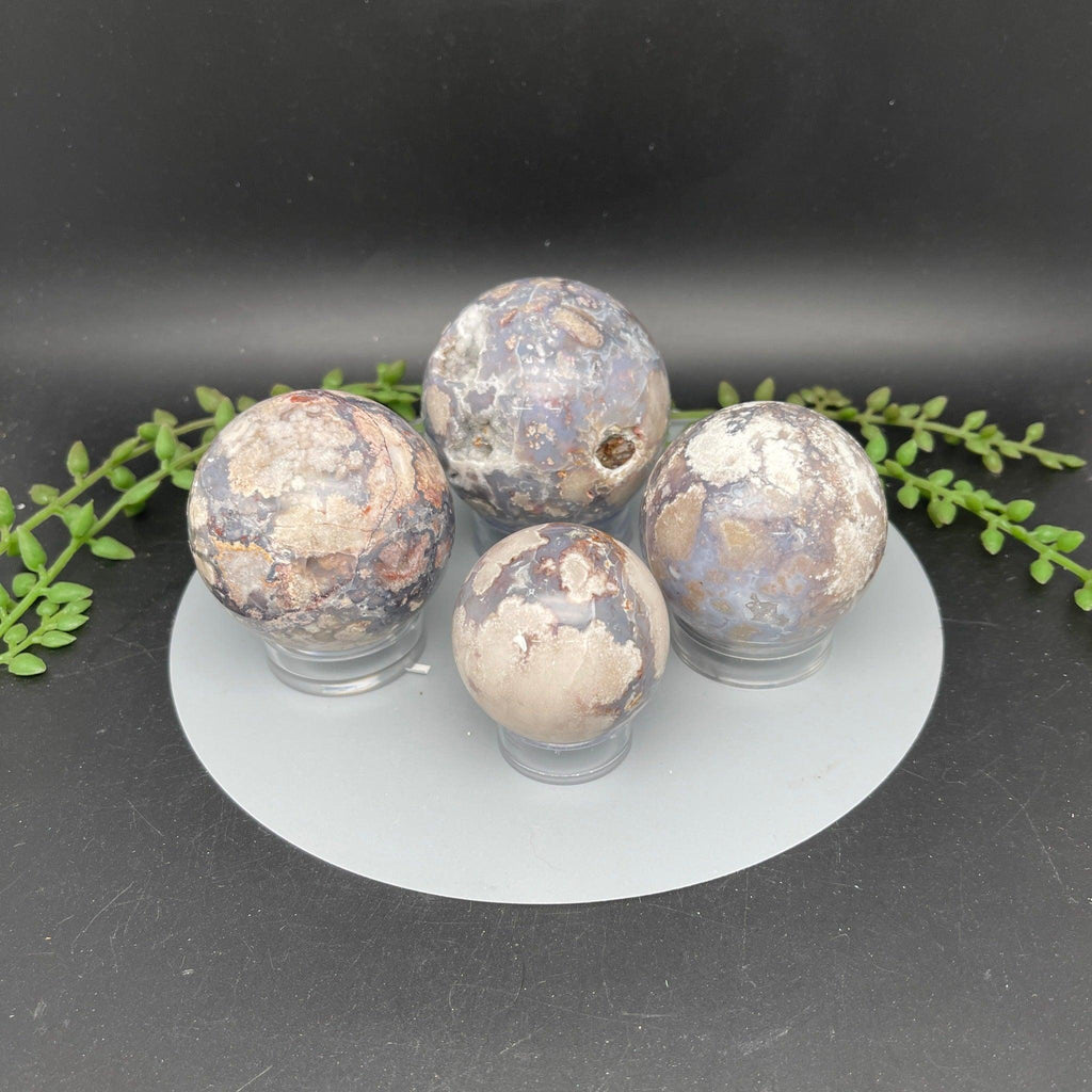 Blue Black Flower Agate Spheres - Natural Collective LLC