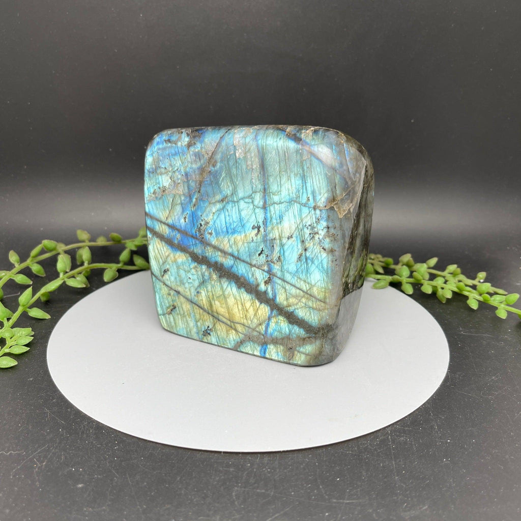 Blue Flash Labradorite Freeform - 1.485 kg - Natural Collective LLC