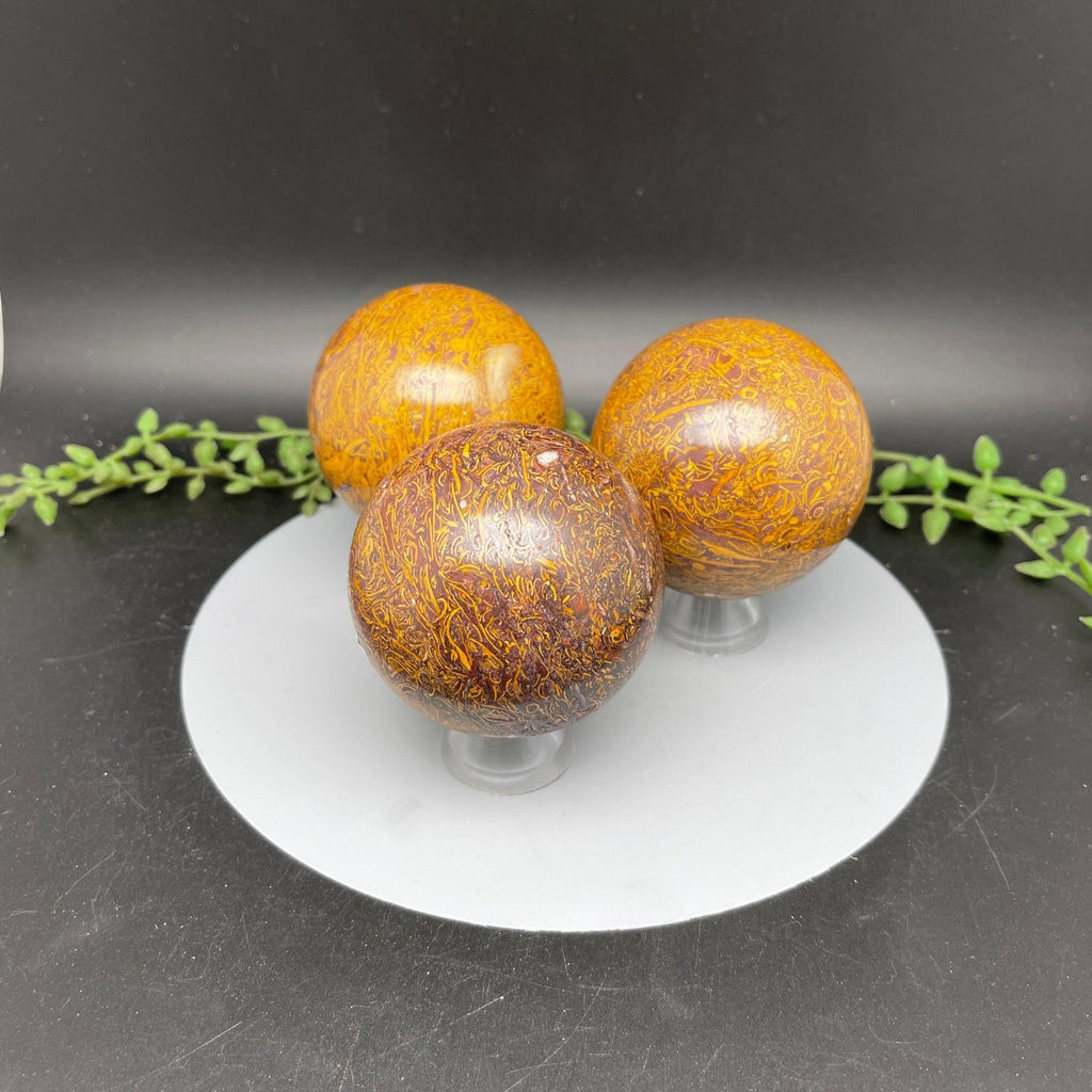 Calligraphy Jasper Spheres - Natural Collective LLC