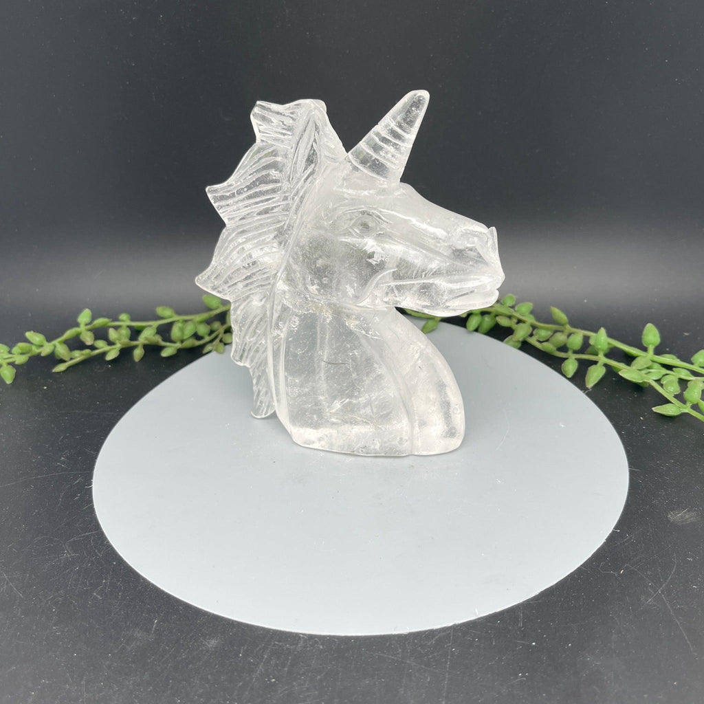 Clear Quartz Unicorn Head - 0.575 kg - Natural Collective LLC