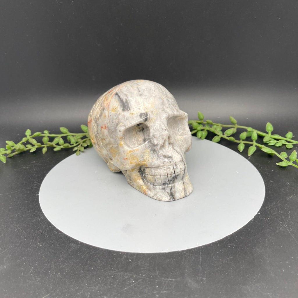 Skull - Crazy Lace Agate - Natural Collective LLC