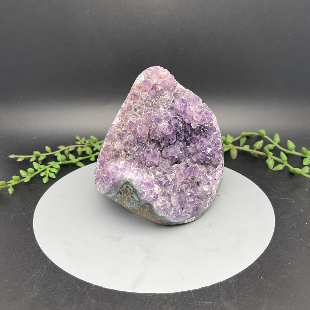 Cut Base Amethyst 1.260 kg - Natural Collective LLC