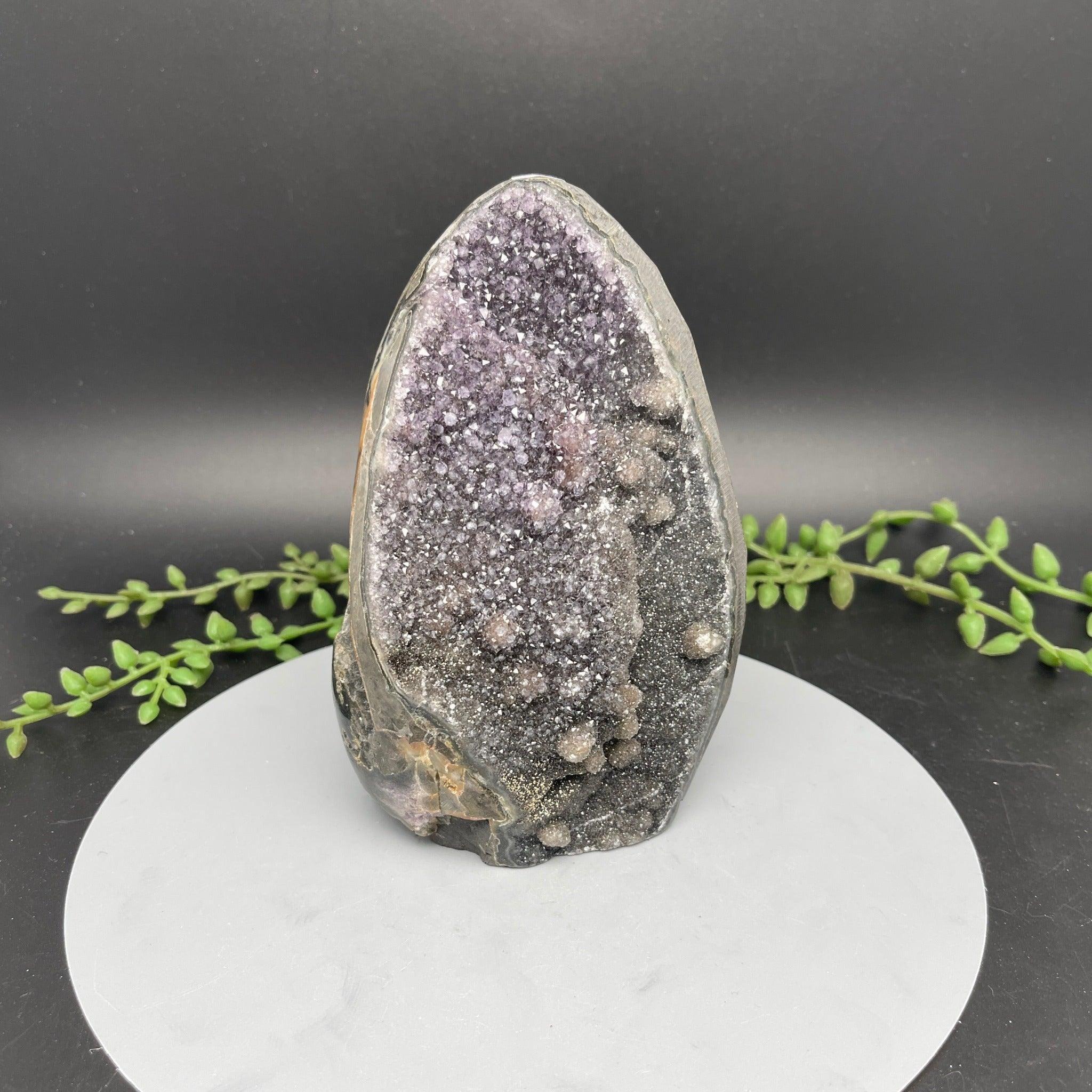 Cut Base Rainbow Amethyst - 1.205 kg - Natural Collective LLC