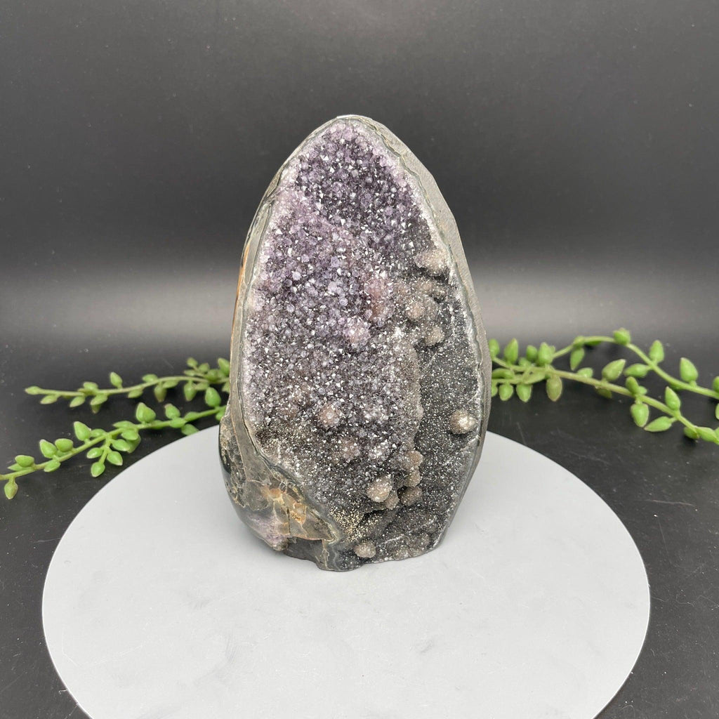 Cut Base Rainbow Amethyst - 1.205 kg - Natural Collective LLC