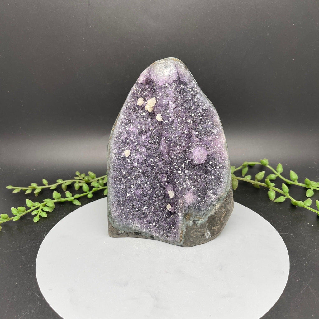 Cut Base Rainbow Amethyst - 1.275 kg - Natural Collective LLC