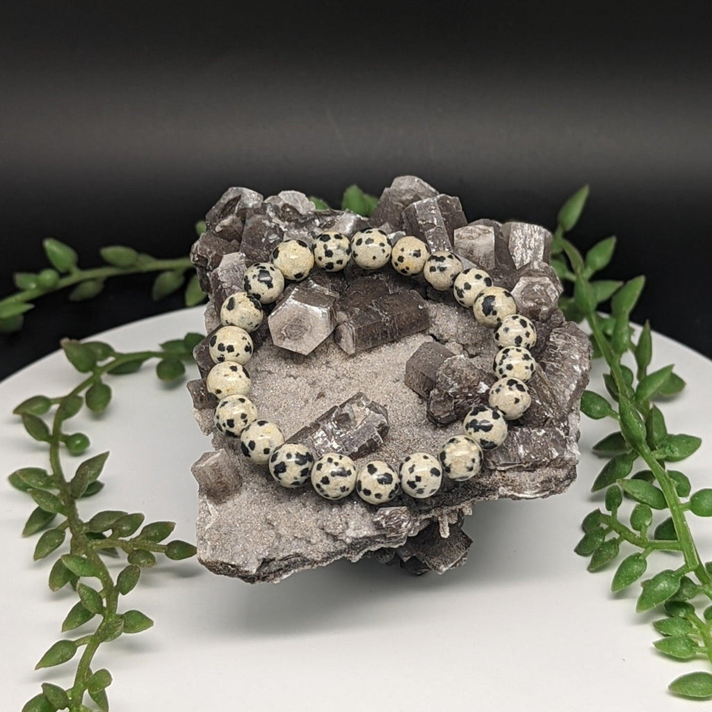 Bracelets - Dalmation Jasper - Natural Collective LLC