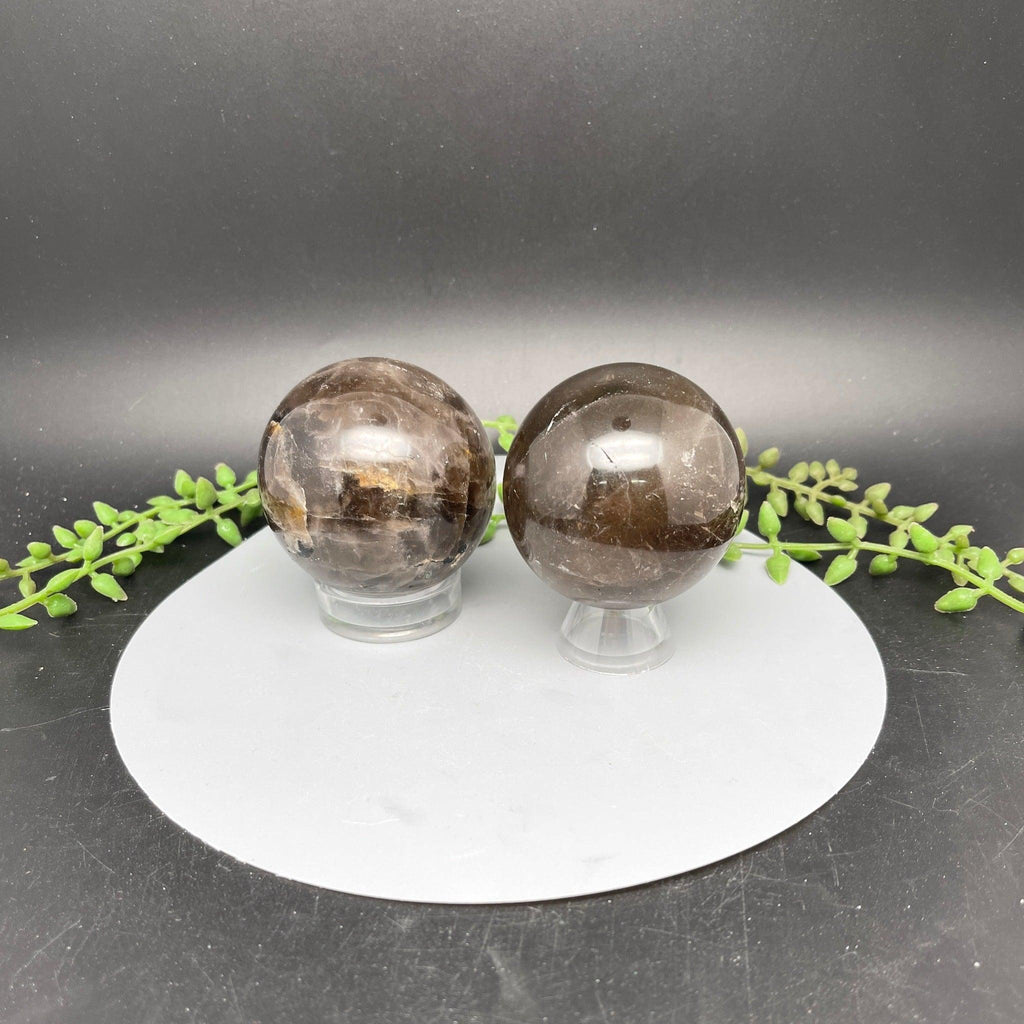 Dark Smoky Quartz Spheres - Natural Collective LLC