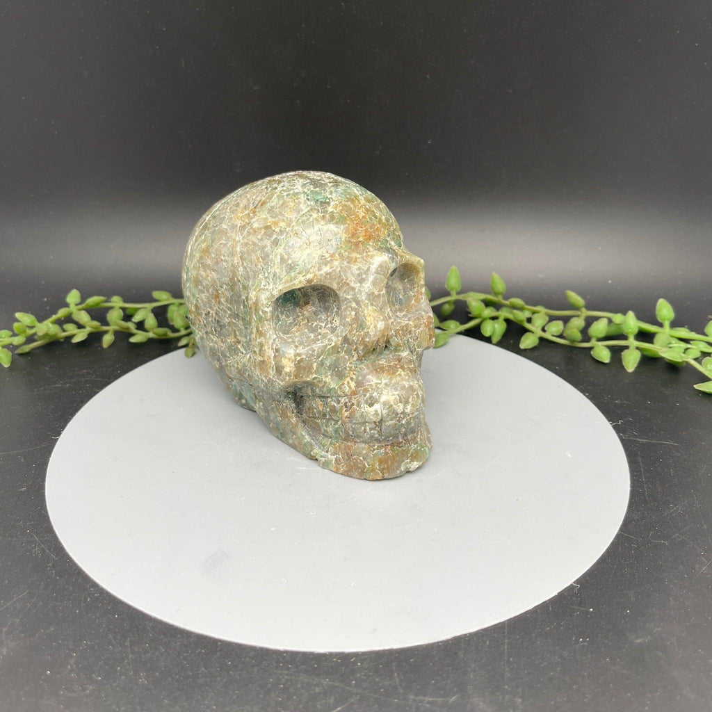 Fuchsite Skull - Natural Collective LLC