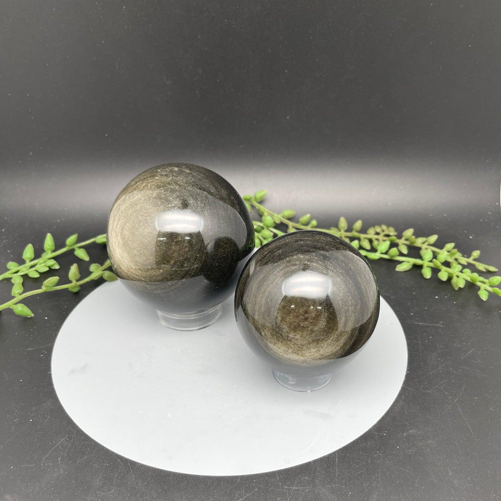 Gold Obsidian Spheres - Natural Collective LLC