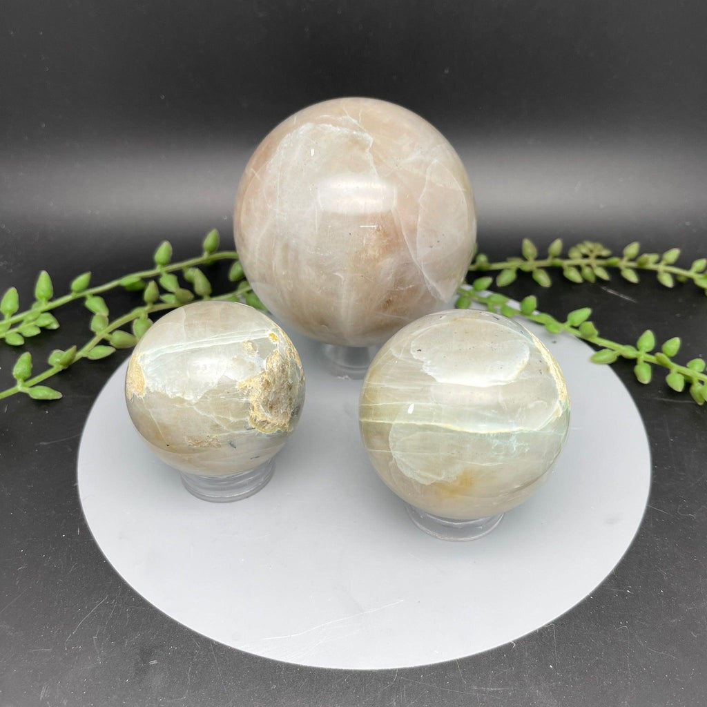 Green Moonstone (Garnierite) Spheres - Natural Collective LLC