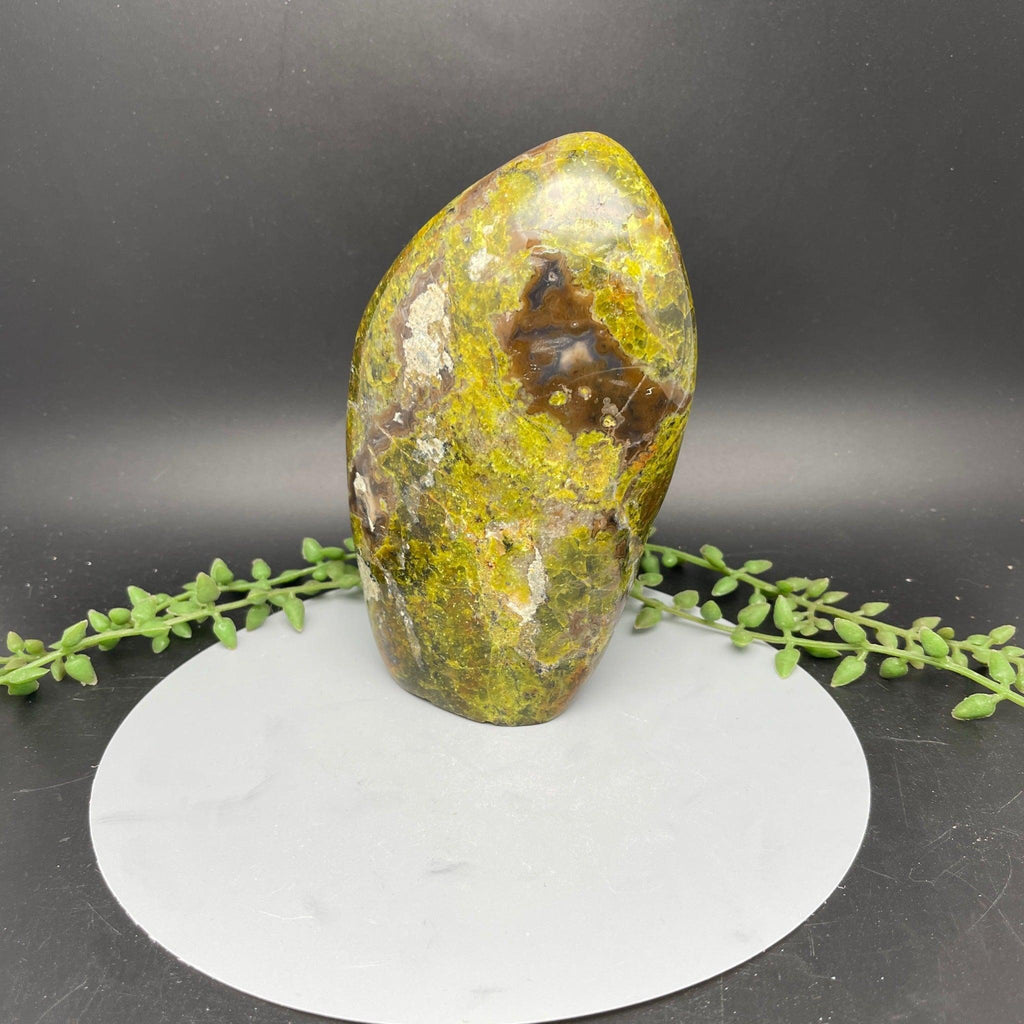 Green Opal Freeform - Natural Collective LLC