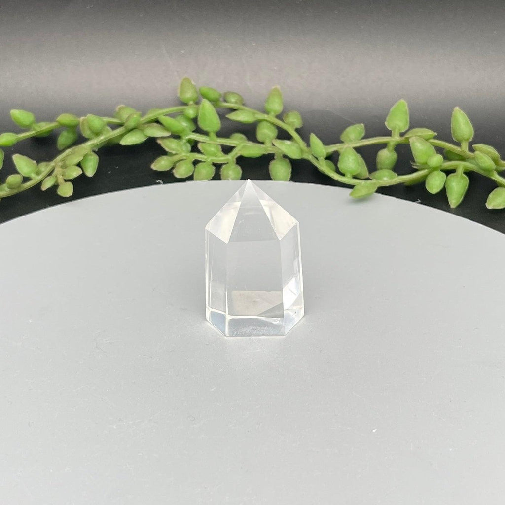 Grid Kits for Balance and Protection - Natural Collective LLC