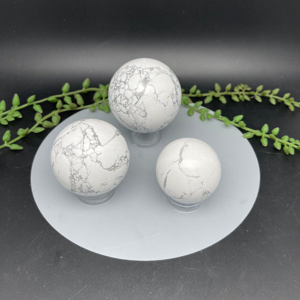 Howlite Spheres - Natural Collective LLC
