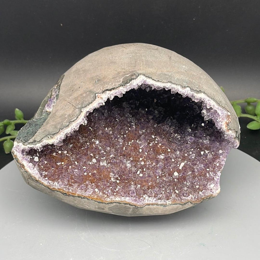 Amethyst Geode - 1.580 kg - Natural Collective LLC