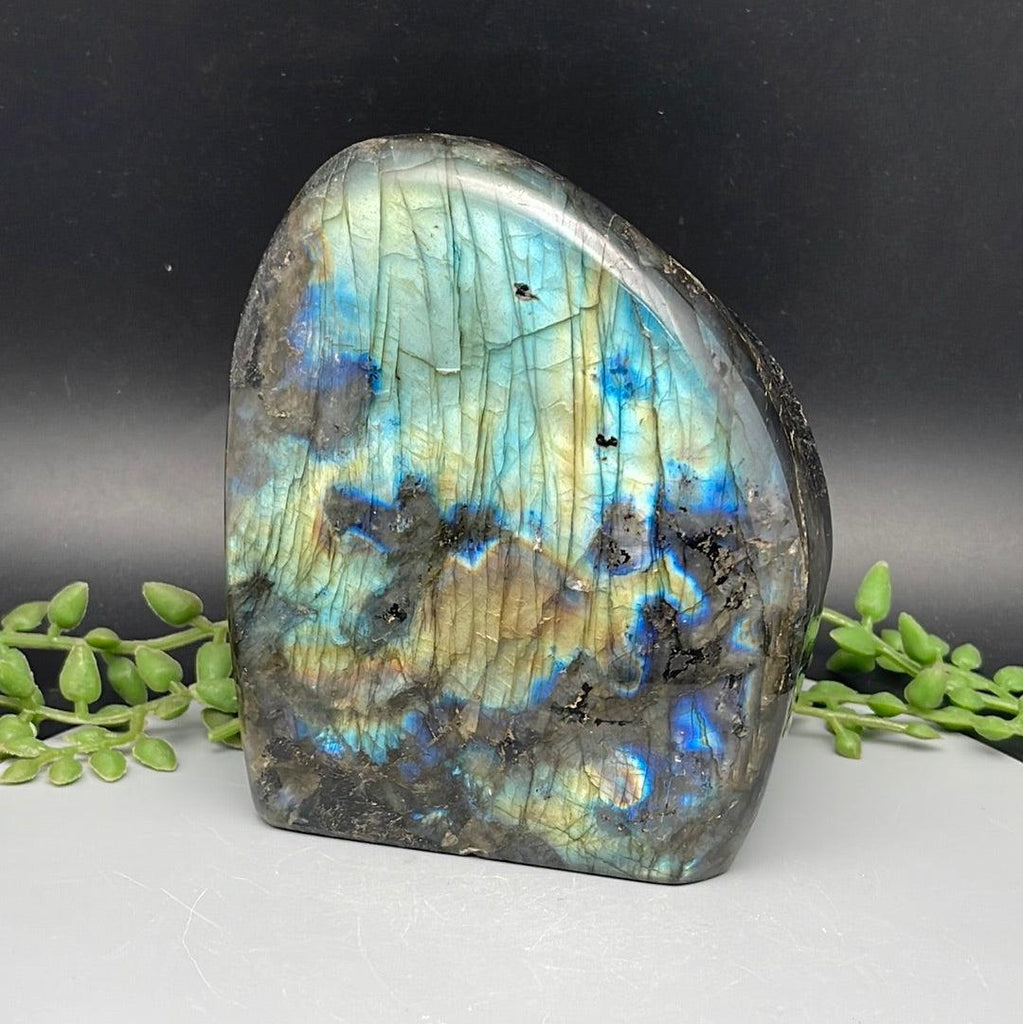 Labradorite Freeform - 1.055 kg - Natural Collective LLC