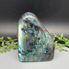 Labradorite Freeform - 740 Grams - Natural Collective LLC