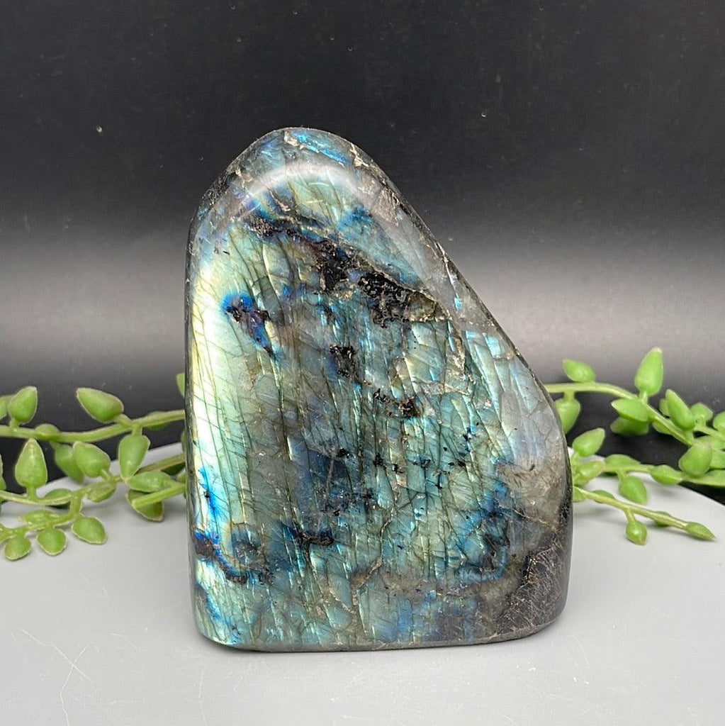 Labradorite Freeform - 740 Grams - Natural Collective LLC