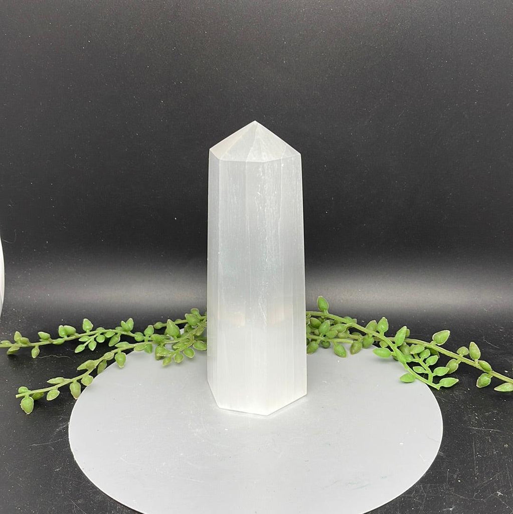 15 cm Selenite Generator & USB Lamp Cover - Natural Collective LLC