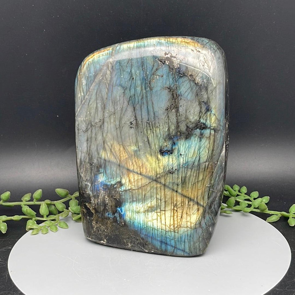 Labradorite Freeform - 2.240 kg - Natural Collective LLC