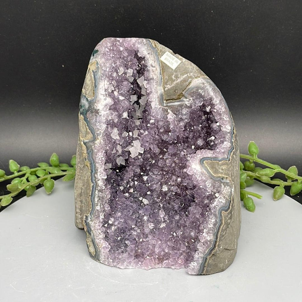 Polished Cut Base Amethyst - 0.880 kg - Natural Collective LLC