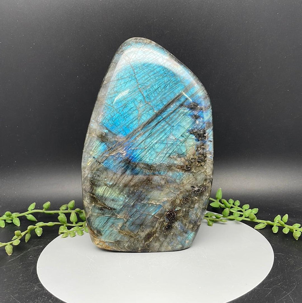 Labradorite Freeform - 2.290 kg - Natural Collective LLC