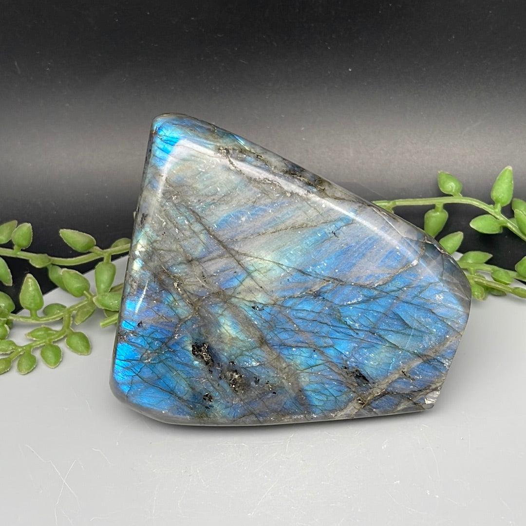 Labradorite Freeform - 630 Grams - Natural Collective LLC