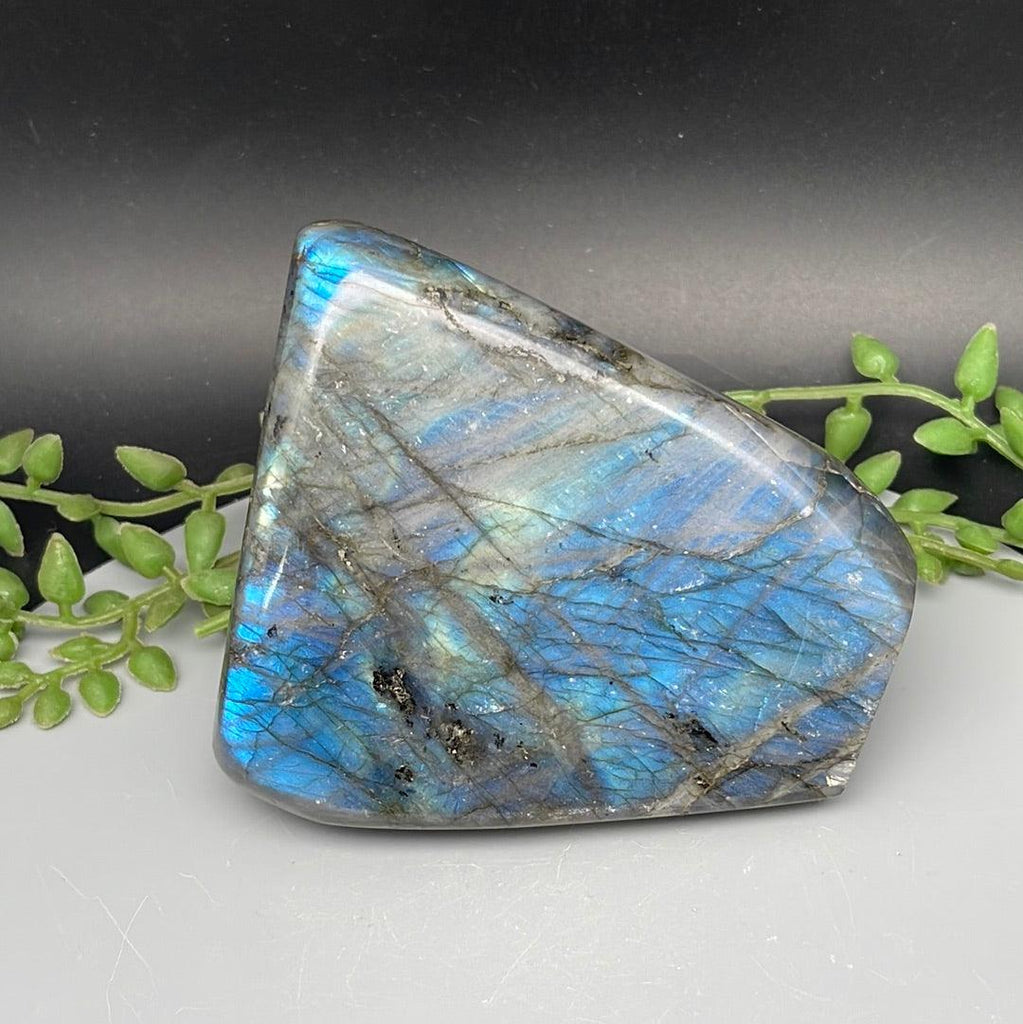 Labradorite Freeform - 630 Grams - Natural Collective LLC
